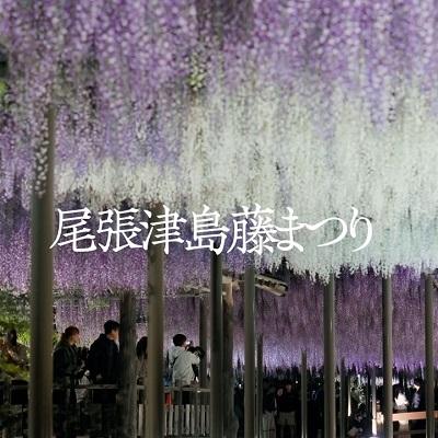 トピックス画像その3