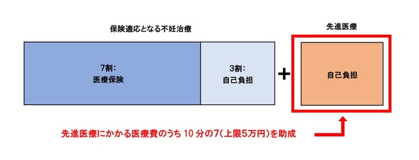 助成額の説明の図解