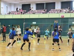 写真5