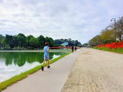 天王川公園の写真