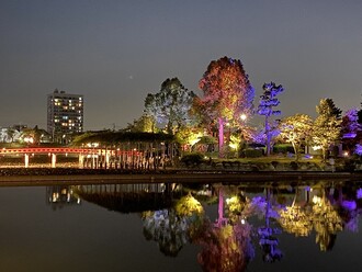 天王川公園ライトアップ２